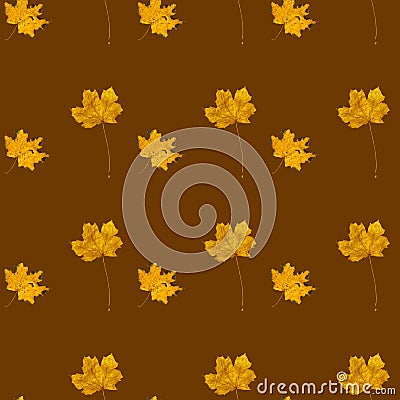 Seamless pattern with autumn yellow leaves on brown color Stock Photo