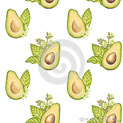 Seamless pattern avocado fruit half seed, green leaves, flowers. Vegetable clipart. Vegan dietary food painting. Hand Cartoon Illustration