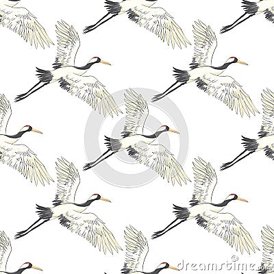Seamless pattern, background with tropical birds. White heron, cockatoo parrot. Colored and outline design on navy blue Vector Illustration