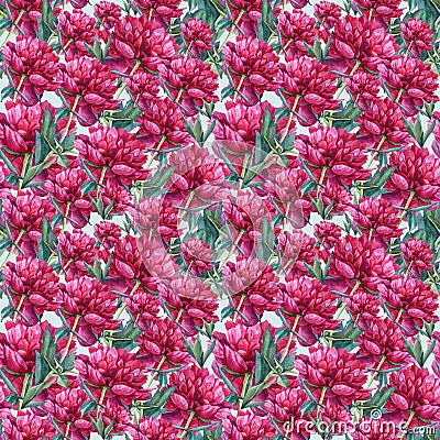 Seamless pattern background with watercolor red pink peony summer flower. Hand-drawn floral plant. Creative art for Stock Photo