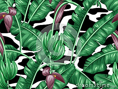 Seamless pattern with banana leaves. Decorative image of tropical foliage, flowers and fruits. Background Vector Illustration