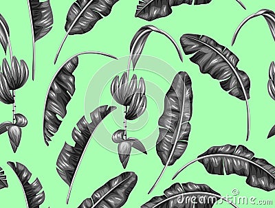 Seamless pattern with banana leaves. Decorative image of tropical foliage, flowers and fruits. Background made without Vector Illustration