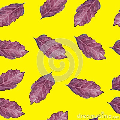 Seamless pattern with basil leaf Stock Photo