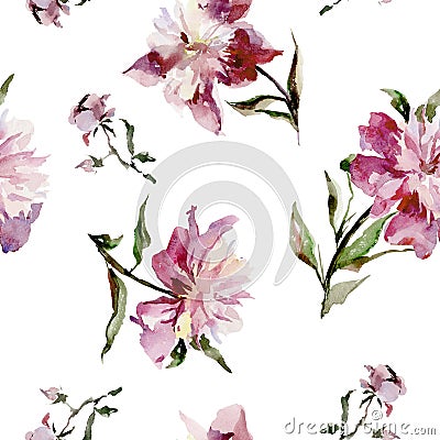 Seamless pattern with beautiful open pink peonies on white background. Stock Photo