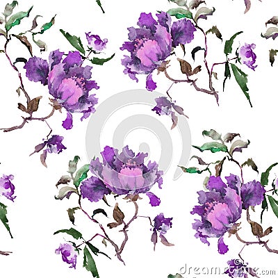 Seamless pattern with beautiful purple peonies on white background. Watercolor painting. Stock Photo