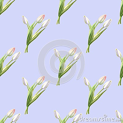 Seamless pattern from beautiful white tulips on blue backdrop. Marker drawing. Watercolor painting. Cartoon Illustration