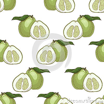 Seamless pattern with bergamots Cartoon Illustration