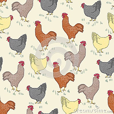 Seamless pattern with bird - rooster and chicken and grass Vector Illustration