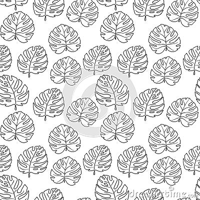 Seamless pattern black lines manstera leaves on white background Vector Illustration
