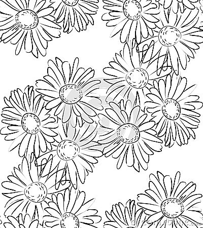 Seamless pattern black and white camomile flowers Vector Illustration