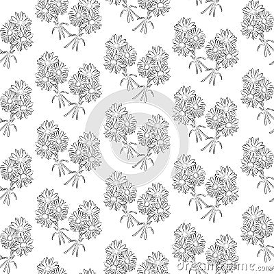 Seamless pattern black and white camomile flowers Vector Illustration