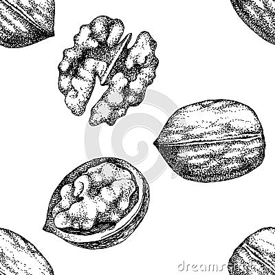 Seamless pattern with hand drawn walnut nuts Cartoon Illustration