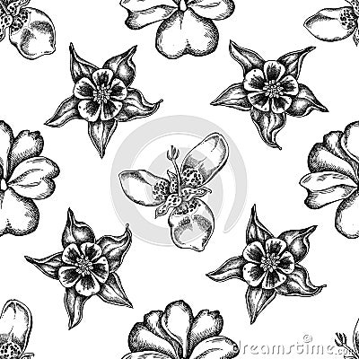 Seamless pattern with black and white impatiens, tigridia, aquilegia Vector Illustration