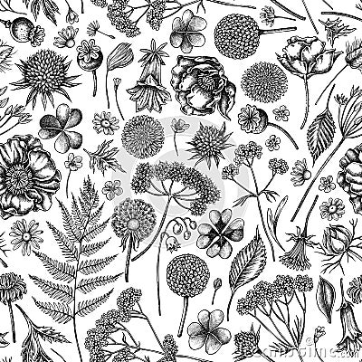 Seamless pattern with black and white shepherd`s purse, heather, fern, wild garlic, clover, globethistle, gentiana Vector Illustration