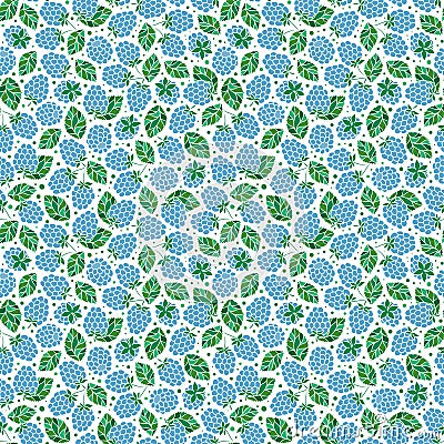 Seamless Pattern of Blackberry Cartoon Illustration