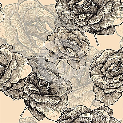 Seamless pattern with blooming roses, hand-drawing Vector Illustration