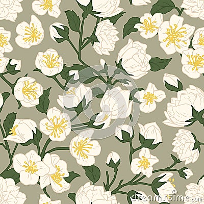 Seamless pattern of blossomed white jasmine flowers. Design of floral repeatable background for printing. Endless Cartoon Illustration