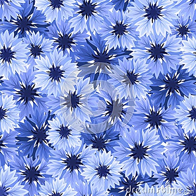 Seamless pattern with blue cornflowers. Vector illustration. Vector Illustration