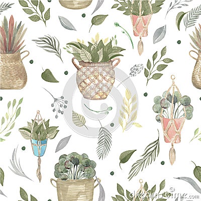 Seamless pattern of boho plants and indoor flowers in baskets and hanging pots Vector illustration modern home decor Cartoon Illustration