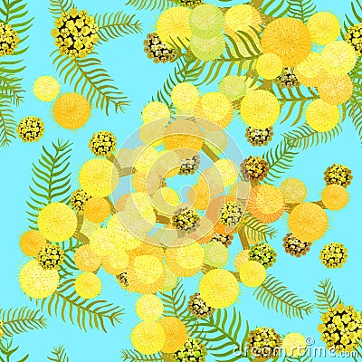 Seamless pattern Branch of mimosa acacia silvery whitened Vecto Vector Illustration