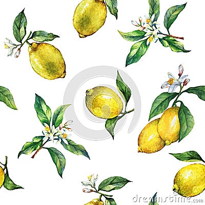 The seamless pattern of the branches of fresh citrus fruit lemons with green leaves and flowers. Stock Photo