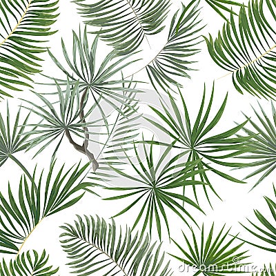 seamless pattern of bright green tropical leaves on white background.Vector Tropical palm leaves seamless pattern. Jungle floral Stock Photo
