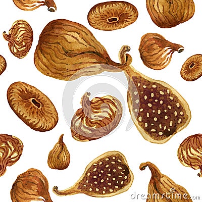 Seamless pattern of brown dried figs painted with watercolour Stock Photo
