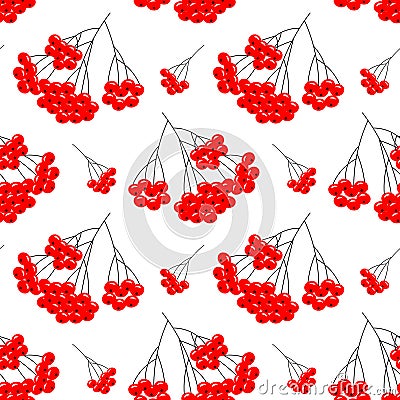 Seamless pattern, bunches of red rowan on a white background. Print, background vector Vector Illustration