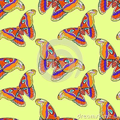 Seamless pattern Butterfly Attacus Atlas peacock eye. vector Vector Illustration