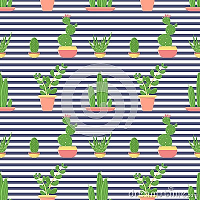 Seamless pattern of cacti and succulents in pots. Flat design cactus isolated on striped background. Vector Illustration