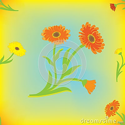 Seamless pattern with calendula Vector Illustration