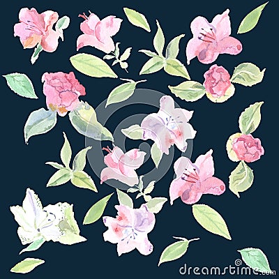 Seamless pattern of camelia flower Cartoon Illustration