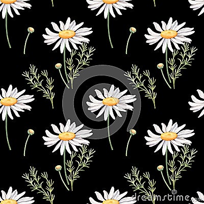 Seamless pattern with camomile flowers on black Cartoon Illustration