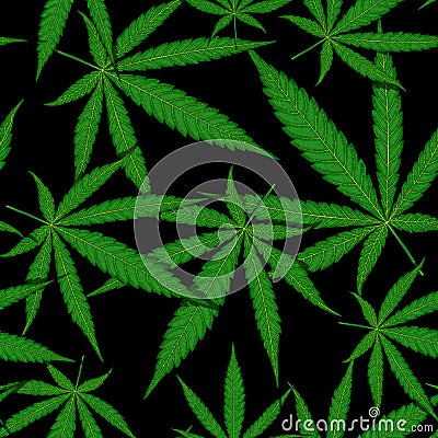 Seamless pattern of cannabis leaf on black background Vector Illustration