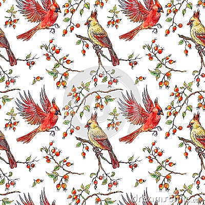 Seamless pattern of cardinals birds and branches of wild rose with fruits Stock Photo