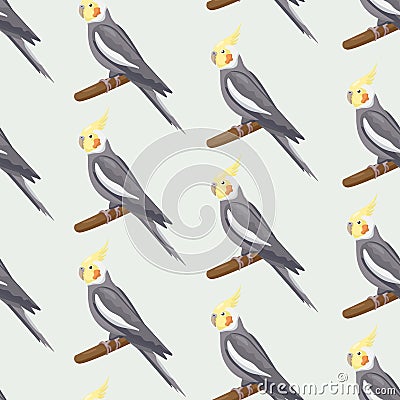 Seamless pattern with cartoon grey cockatiels sitting on branches. Flat little colorful exotic Australian parrots Vector Illustration