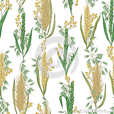 Seamless pattern with cereals. Barley, wheat, rye, rice and oat. Vector Illustration