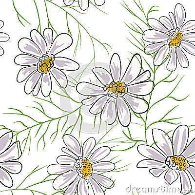 Seamless pattern with chamomile, camomile flowers on white background Vector Illustration