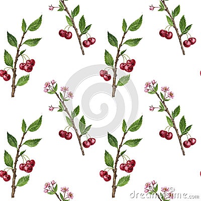 Seamless pattern with cherry tree branches, flowers, leaves and berries Stock Photo