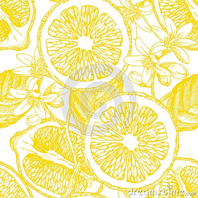 Seamless pattern with citrus fruits. Vector Illustration