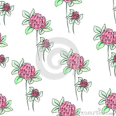 Seamless pattern of clover on a white background Stock Photo