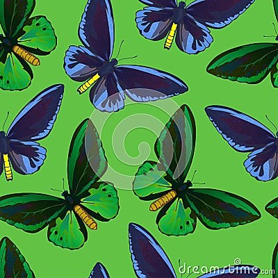 Seamless pattern with colorful big tropical butterflies, swallowtail and birdwing, papilio and ornitoptera papilionidae. Vector Illustration