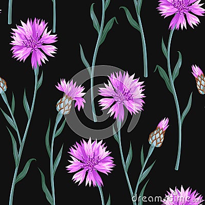 Seamless pattern with colorful cornflowers Vector Illustration