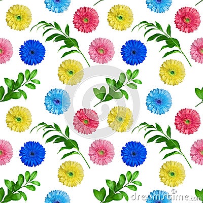 Seamless pattern of colorful gerbera flowers and green leaves on white background isolated, multi-colored daisy flower ornament Stock Photo