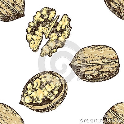 Seamless pattern with hand drawn walnut nuts Cartoon Illustration