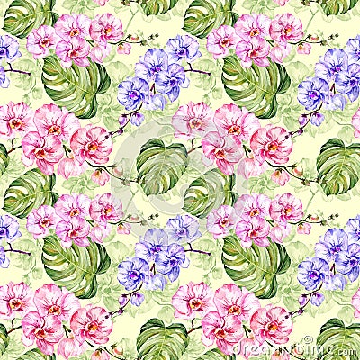 Seamless pattern. Colorful orchid flowers with outlines and large green monstera leaves on light green background. Cartoon Illustration