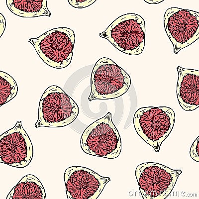 Seamless pattern with common fig or ficus carica fruit Vector Illustration