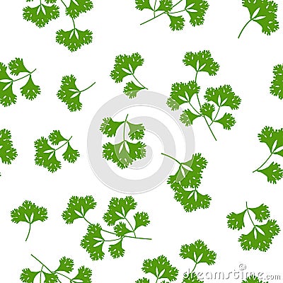 Seamless pattern coriander herb, food vector illustration Vector Illustration