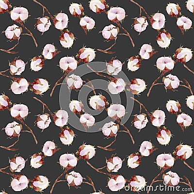 Seamless pattern with cotton plant flower on black background. Cartoon Illustration