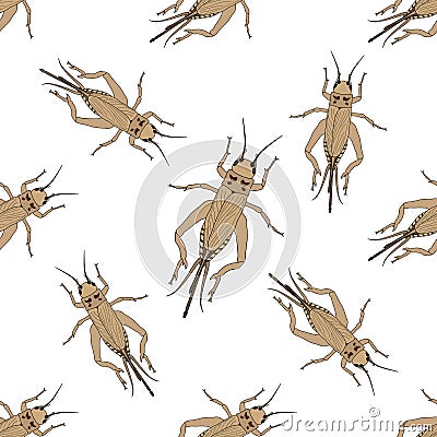 Seamless pattern with cricket or grig. Gryllus campestris. hand-drawn cricket. grig. . Vector Vector Illustration